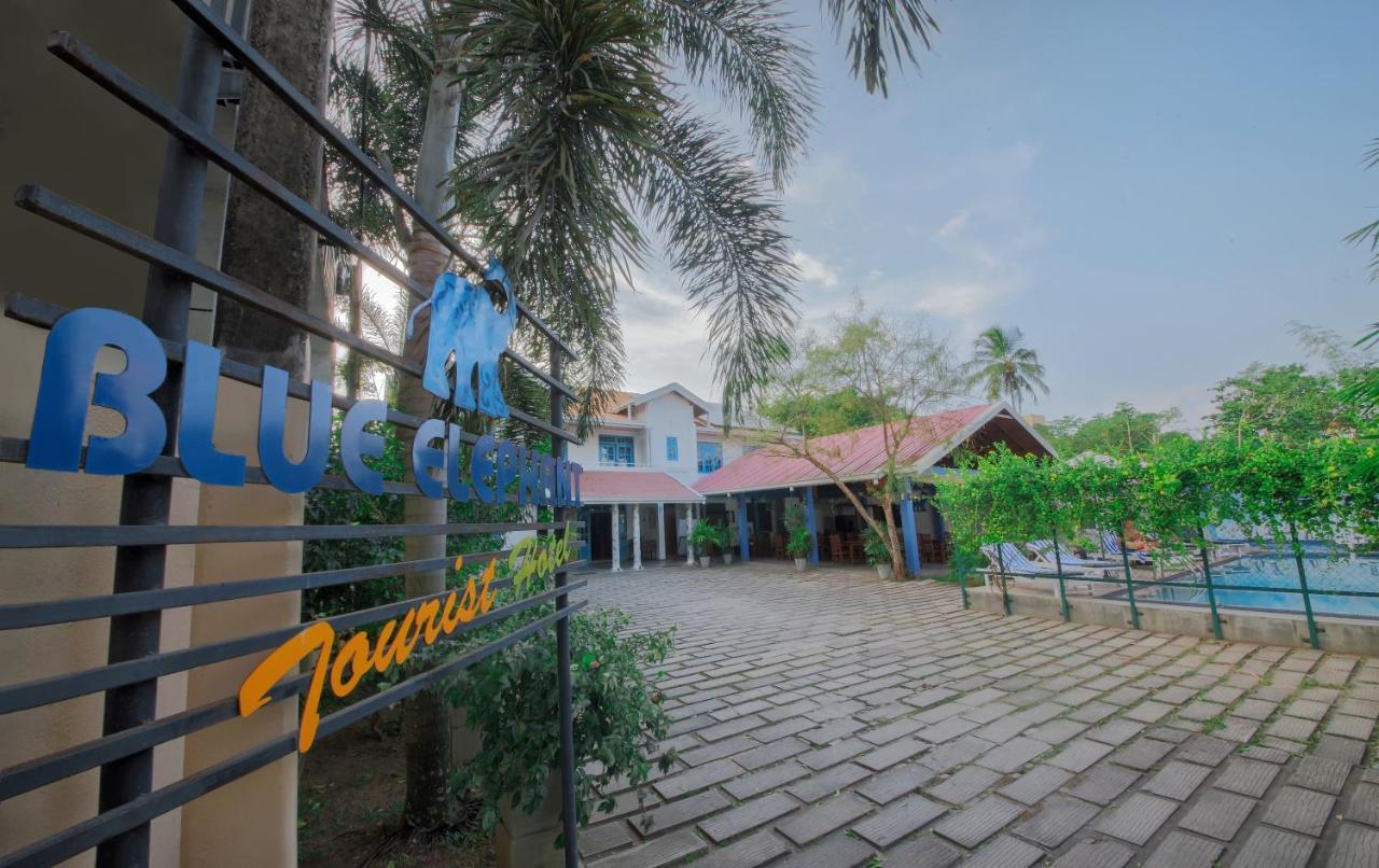 Blue Elephant Boutique Hotel Negombo Eksteriør bilde