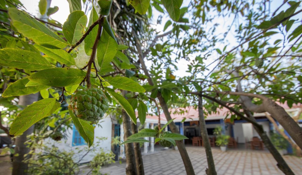 Blue Elephant Boutique Hotel Negombo Eksteriør bilde